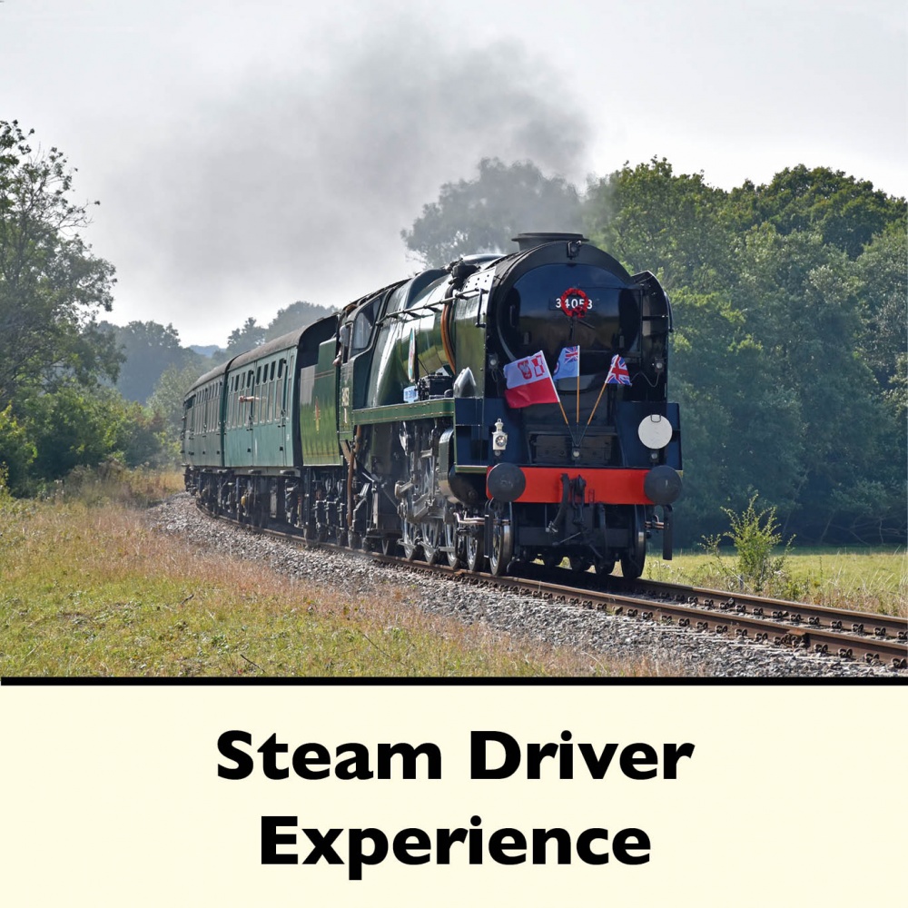 Steam Driver Experience!