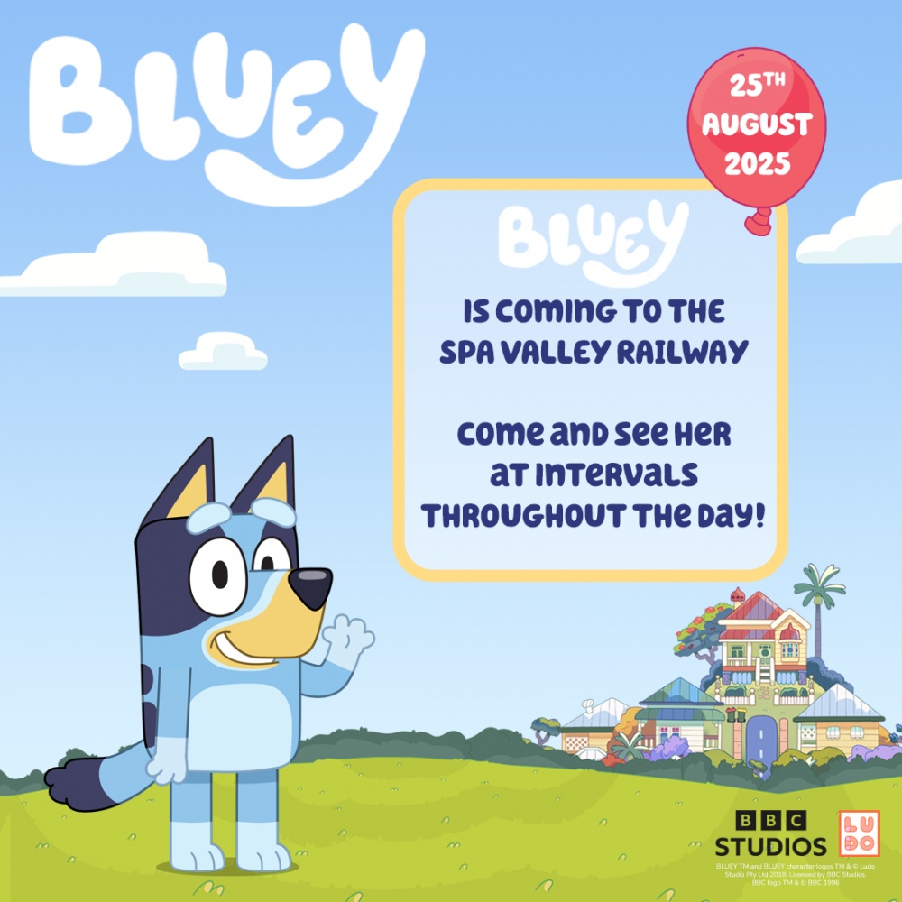 See Bluey!