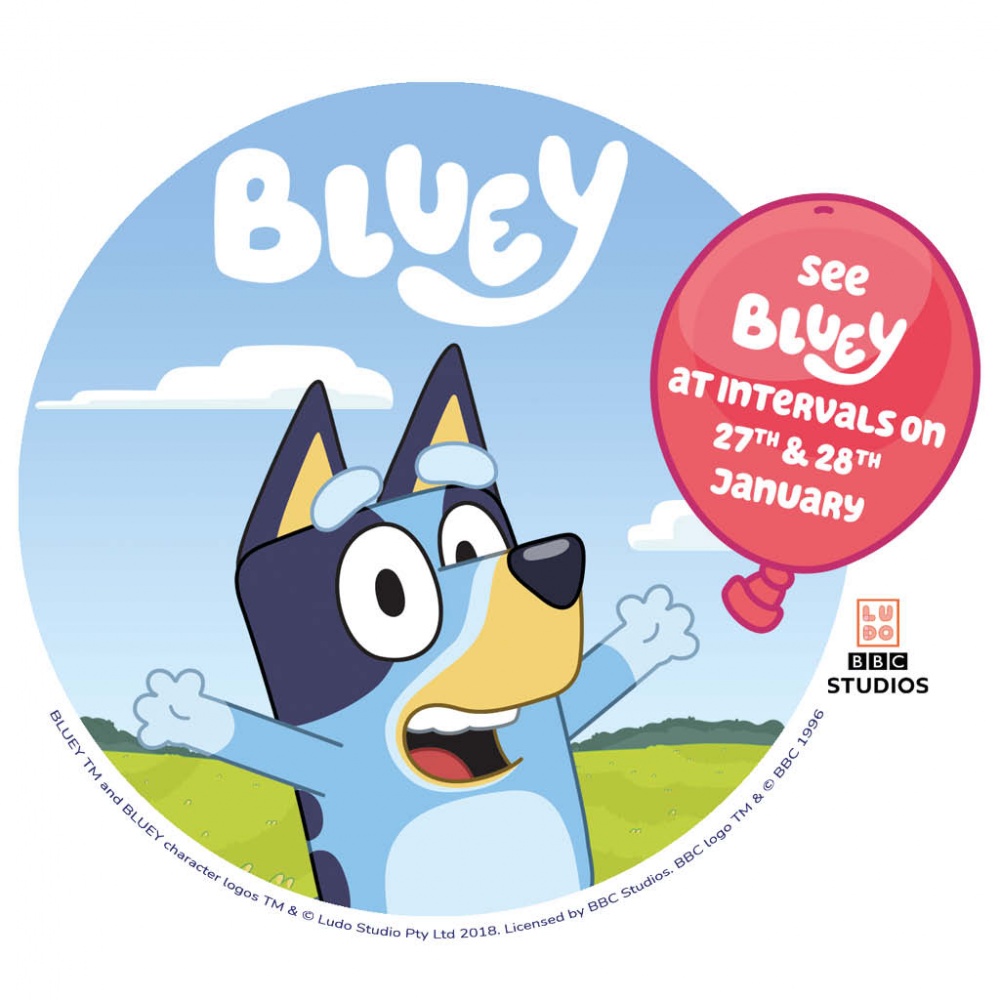 See Bluey!